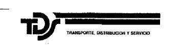 TDS TRANSPORTE, DISTRIBUCION Y SERVICIO