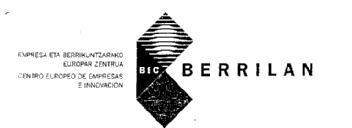 BIC BERRILAN ENPRESA ETA BERRIKUNTZARAKO EUROPAR ZENTRUA CENTRO EUROPEO DE EMPRESAS E INNOVACION