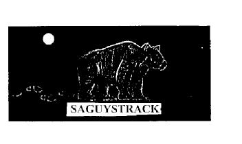 SAGUYSTRACK