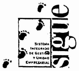 SISTEMA INTEGRADO DE GESTIO Y UNIDAD EMPRESARIAL SIGUE