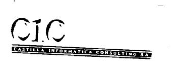 CIC CASTILLA INFORMATICA CONSULTING S.A