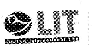 LIT LIMITED INTERNATIONAL TIRE