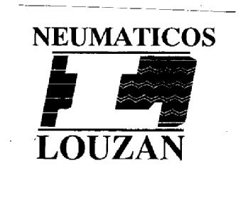 NEUMATICOS LOUZAN