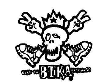 BORN TO BTKA KICK ARSE
