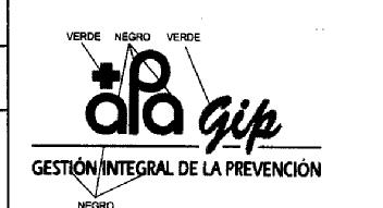 APA GIP GESTION INTEGRAL DE LA PREVENCION