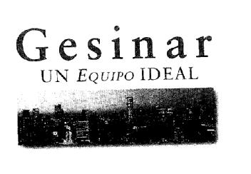 GESINAR UN EQUIPO IDEAL