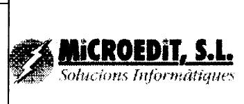 MICROEDIT,S.L. SOLUCIONS INFORMATIQUES