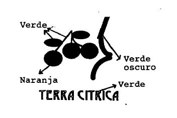 TERRA CITRICA