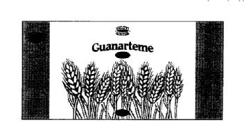 GUANARTEME. MOLINERA DE SCHAMANN