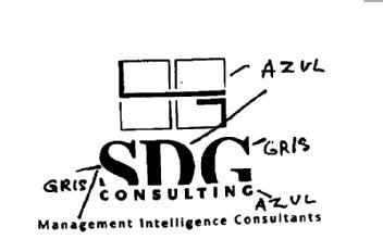 SDG CONSULTING MANAGEMENT INTELLIGENCE CONSULTANTS