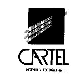 CARTEL INGENIO Y FOTOGRAFIA