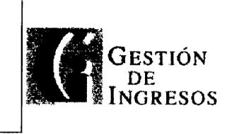 GI GESTION DE INGRESOS
