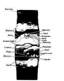 M2218263