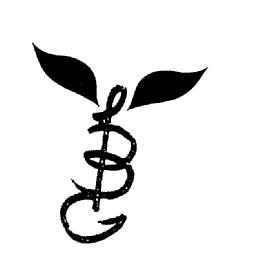 IBG
