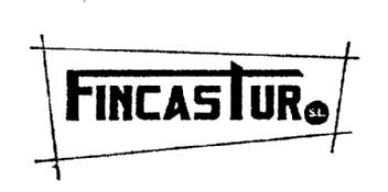 FINCASTUR S.L