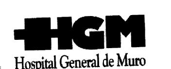 HGM HOSPITAL GENERAL DE MURO