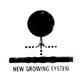 NGS NEW GROWING SYSTEM