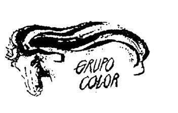 GRUPO COLOR
