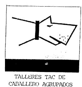 TALLERES TAC DE CABALLERO AGRUPADOS