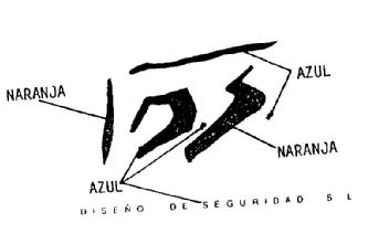 DS DISEÑO DE SEGURIDAD S.L