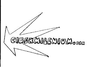 CIBERMILENIUM.COM