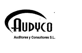 AUDYCO AUDITORES Y CONSULTORES S.L
