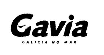 GAVIA GALICIA NO MAR