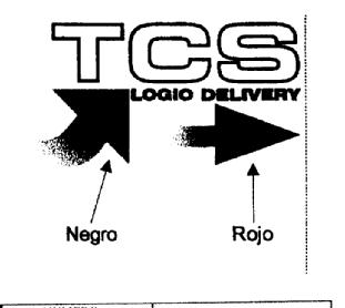 TCS LOGIO DELIVERY