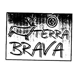 TERRA BRAVA