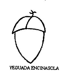 YEGUADA ENCINASOLA