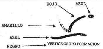 VERTICE GRUPO FORMACION