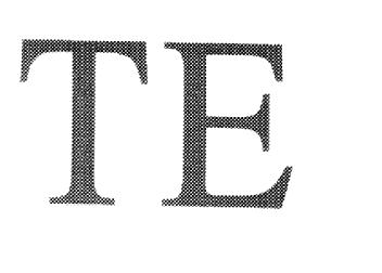TE