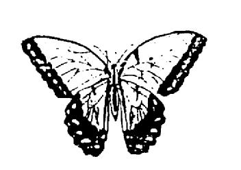 M2238259