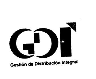 GDI GESTION DE DISTRIBUCION INTEGRAL
