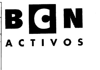 BCN ACTIVOS