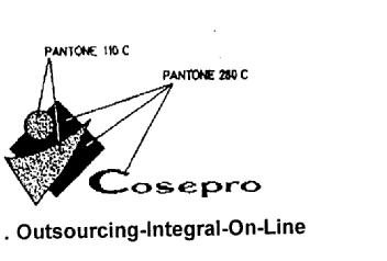 COSEPRO OUTSOURCING-INTEGRAL-ON-LINE