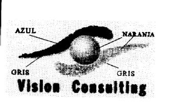 VISION CONSULTING