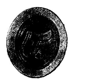 M2251296