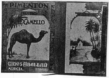 PIMENTON CAMELLO