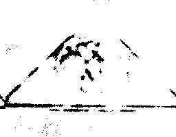 M0080896