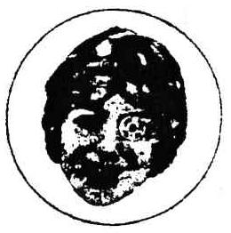 M0267731