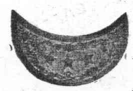 M0095607