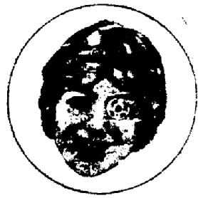 M0267730(X)