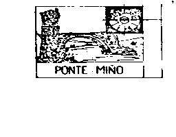 PONTE MIÑO