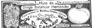 EL CANARIO