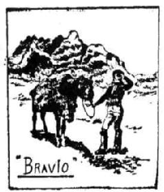 BRAVIO