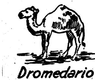 DROMEDARIO