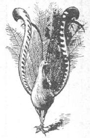 M0092552