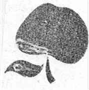 M0359610