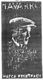 NAVARRO
